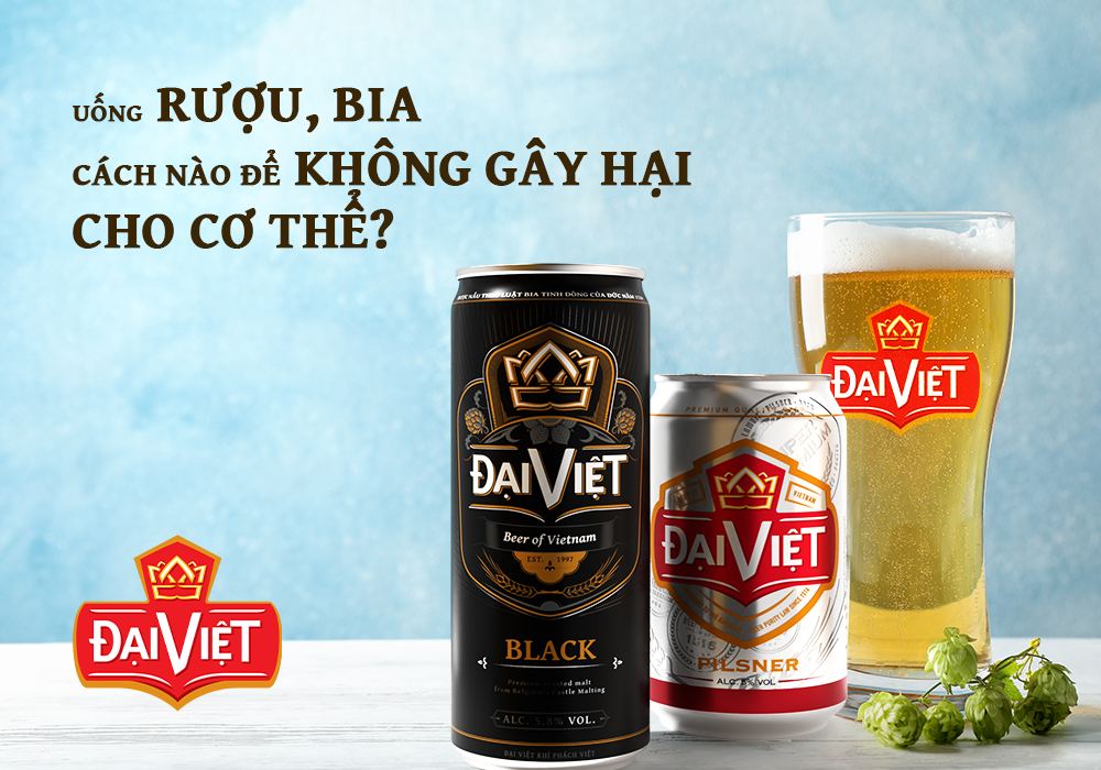 Banner website BIA DAI VIET 48 Banner website BIA DAI VIET 48